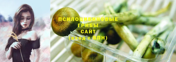 героин Алексин