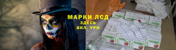 ПСИЛОЦИБИНОВЫЕ ГРИБЫ Алзамай
