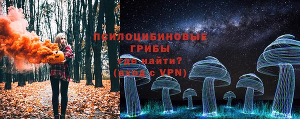 твердый Алексеевка