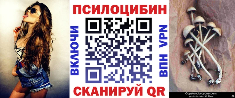 Псилоцибиновые грибы Psilocybe  Похвистнево 